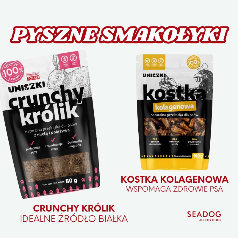 Box Świąteczny Maxi