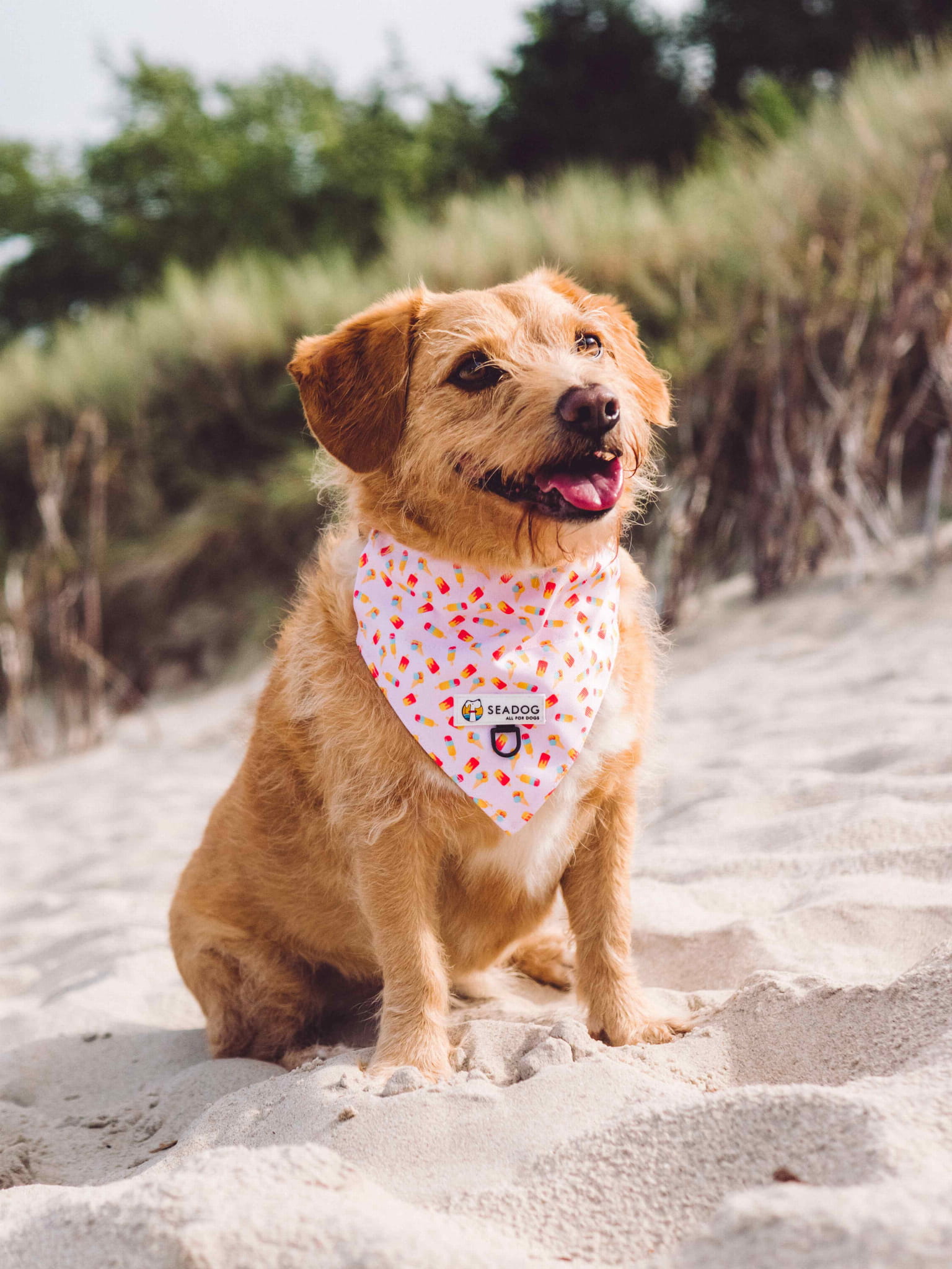 Bandana na obrożę "AloHau"