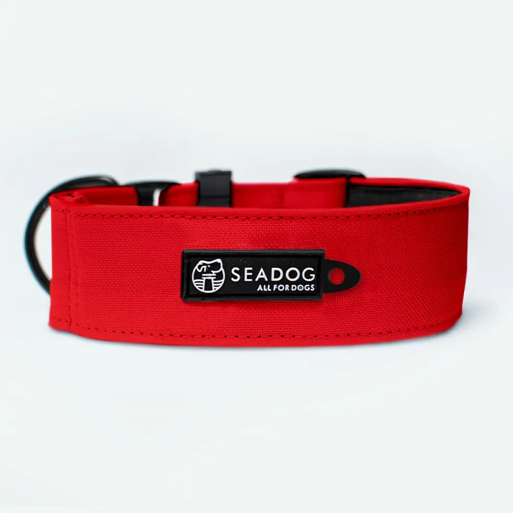 Obroża dla Charta SOFT 40mm "Czerwień" półzaciskowa data-lazy-src=