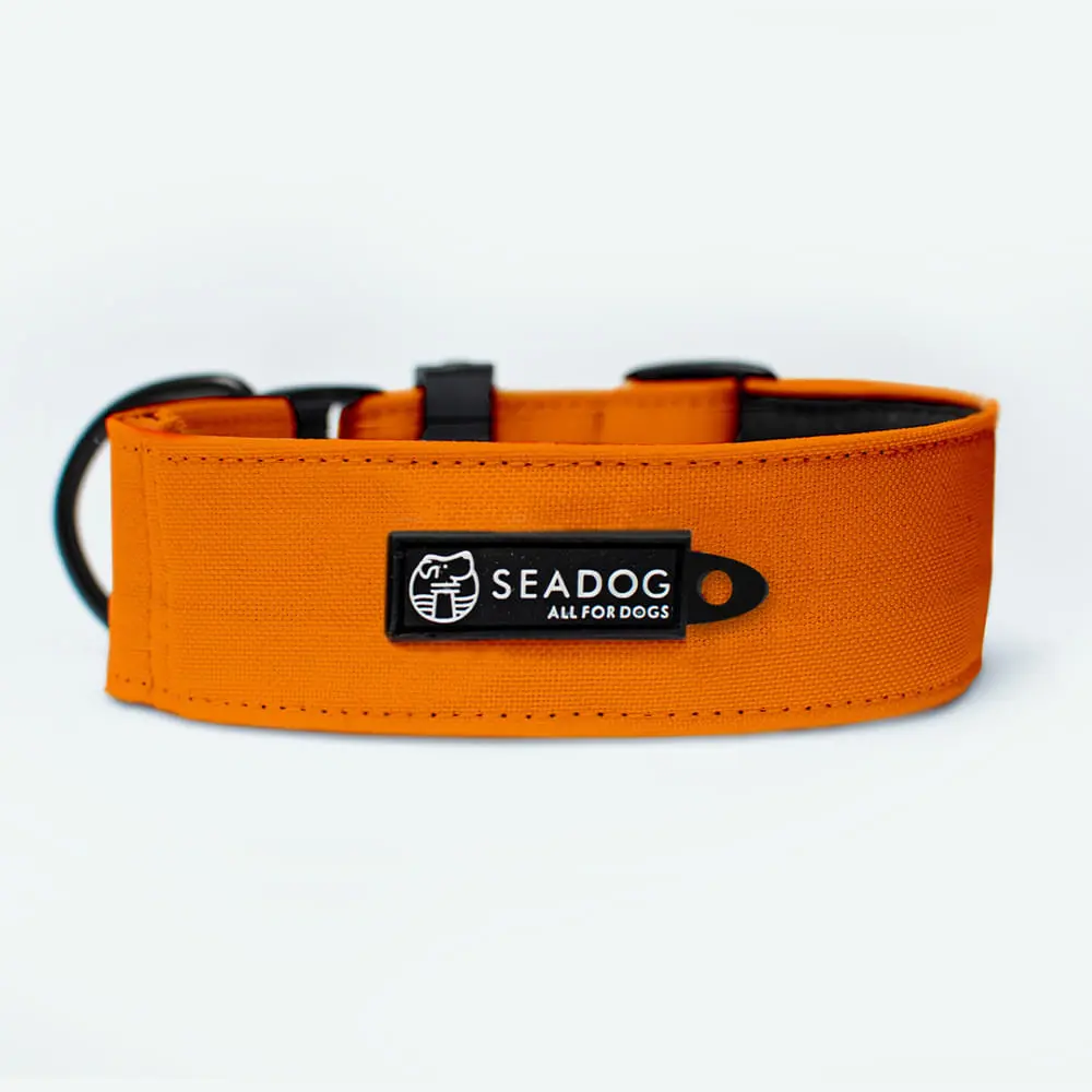 Obroża dla Charta SOFT 40mm "Pomarańcz" półzaciskowa data-lazy-src=