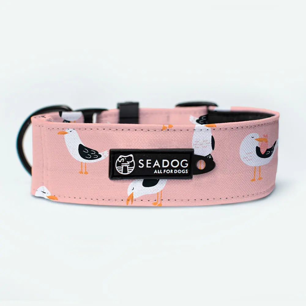 Obroża dla Charta SOFT 40mm "To nie ja byłam mewą" półzaciskowa data-lazy-src=