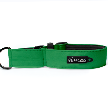 Obroża dla Charta SOFT 40mm "Zielony" półzaciskowa Wysyłka 24h!