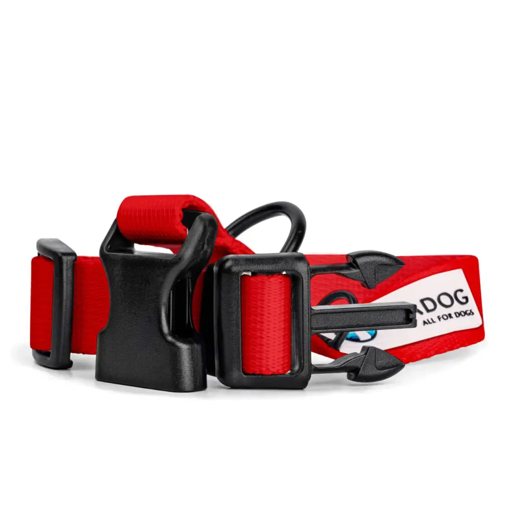 Obroża dla psa lub kota COLOR "Czerwień" data-lazy-src=