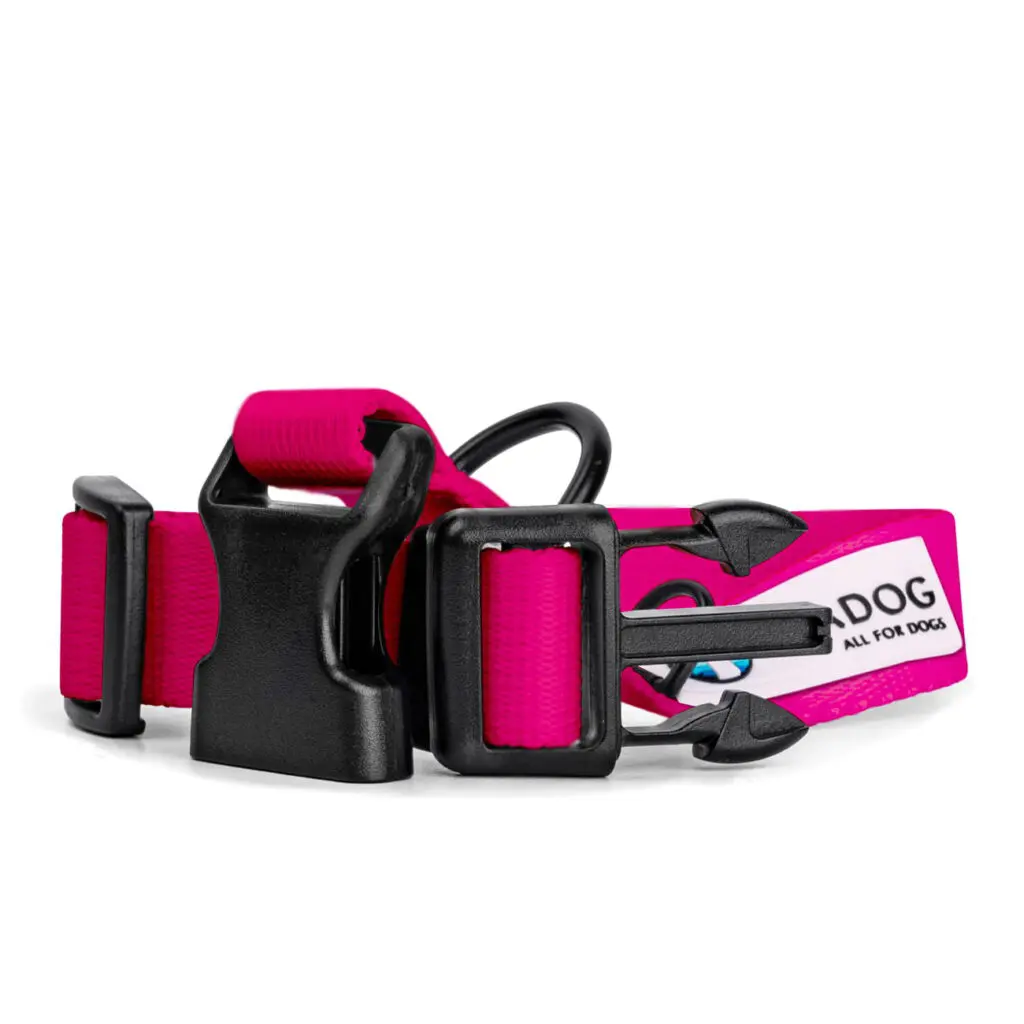 Obroża dla psa lub kota COLOR "Fuksja" data-lazy-src=