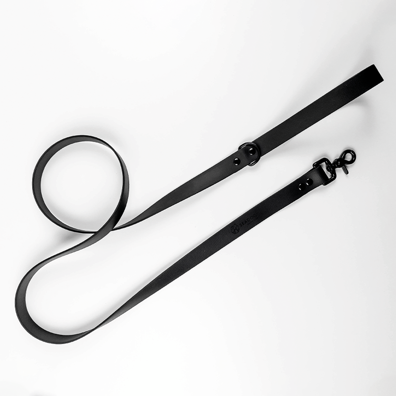 Smycz miejska dla psa lub kota BioThane® - Black data-lazy-src=