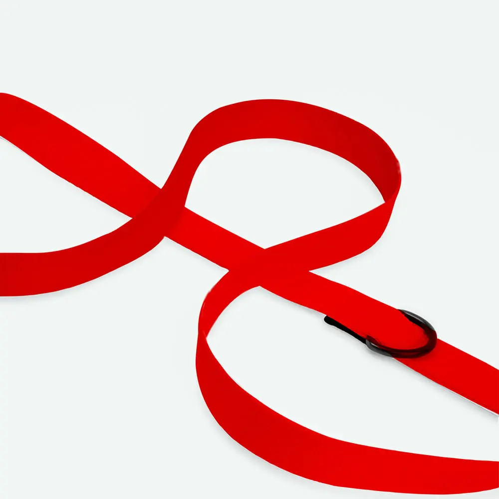 Smycz miejska dla psa lub kota COLOR "Czerwień" data-lazy-src=