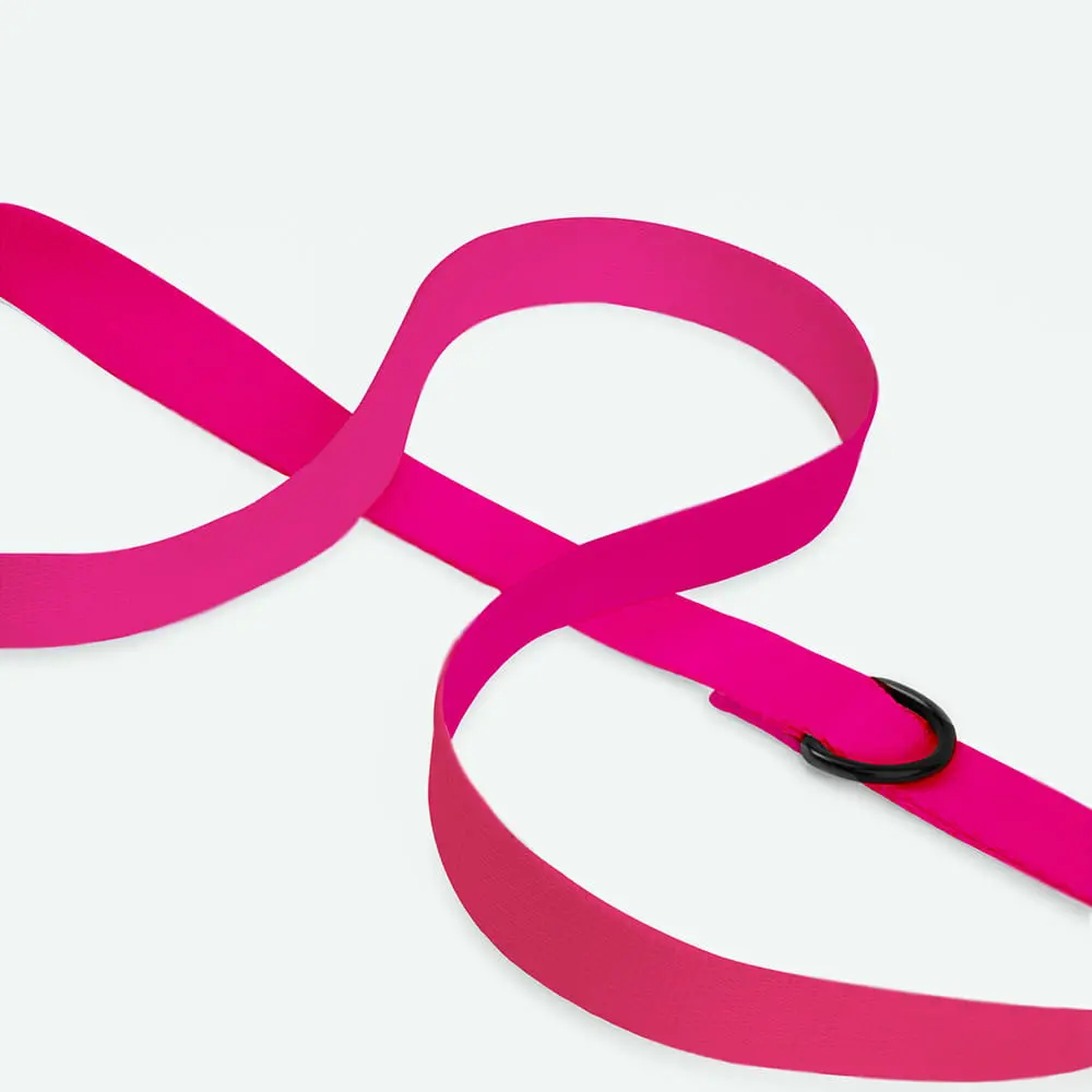 Smycz miejska dla psa lub kota COLOR "Fuksja" data-lazy-src=