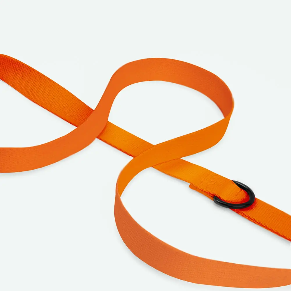 Smycz miejska dla psa lub kota COLOR "Pomarańcz" data-lazy-src=