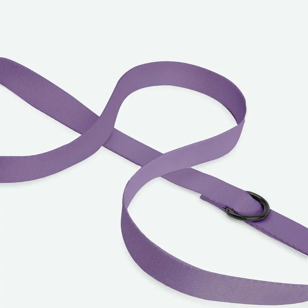 Smycz miejska dla psa lub kota COLOR "Wrzos" data-lazy-src=