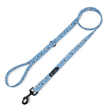 Smycz miejska dla psa lub kota  "Widziałem ptaka cień" Wysyłka 24h