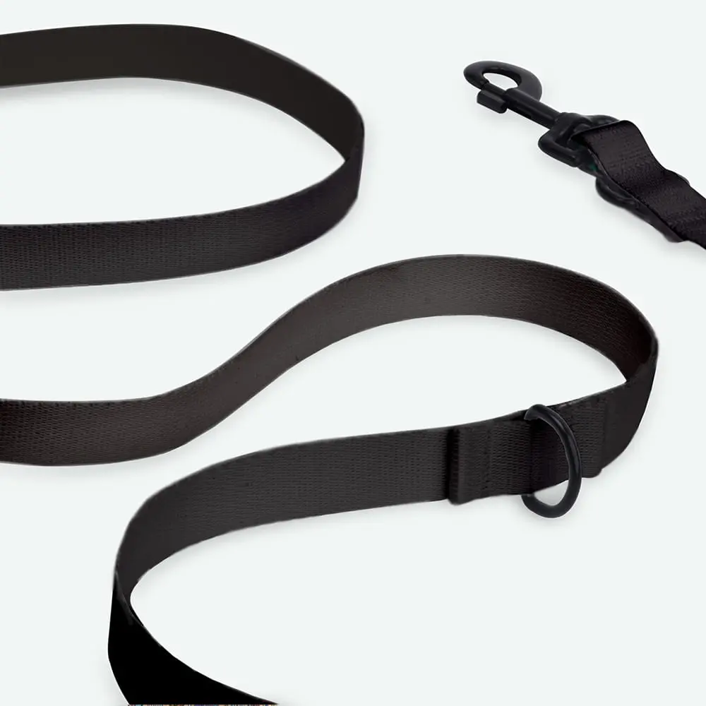Smycz przepinana dla psa lub kota COLOR "Czarny" data-lazy-src=