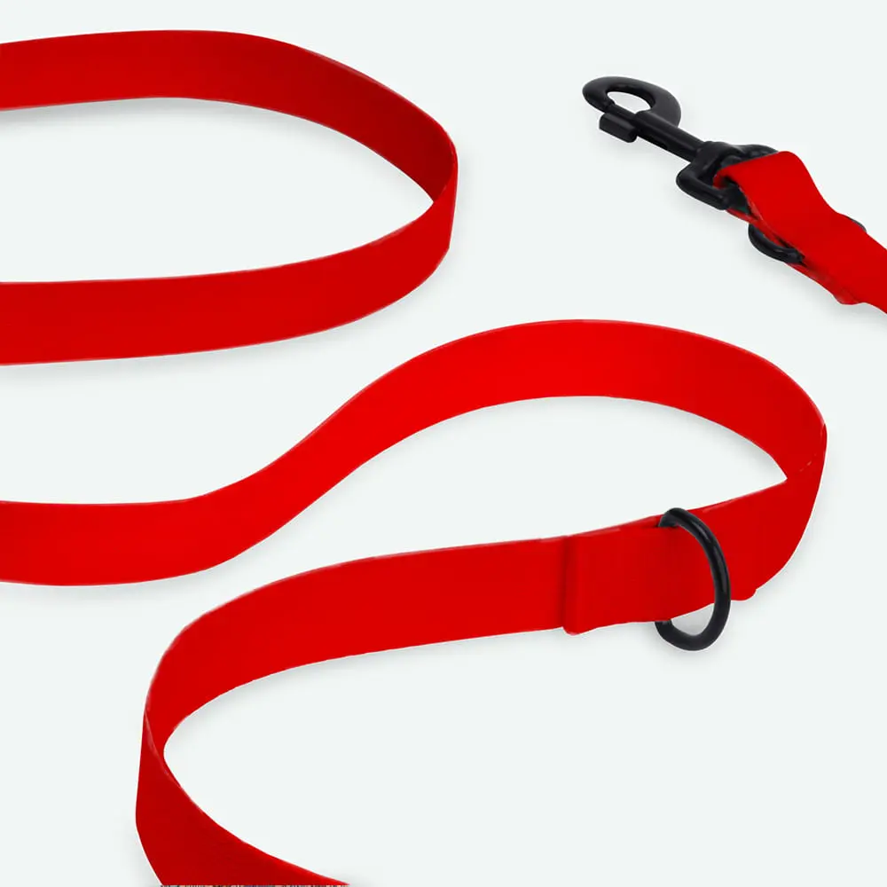 Smycz przepinana dla psa lub kota COLOR "Czerwień" data-lazy-src=