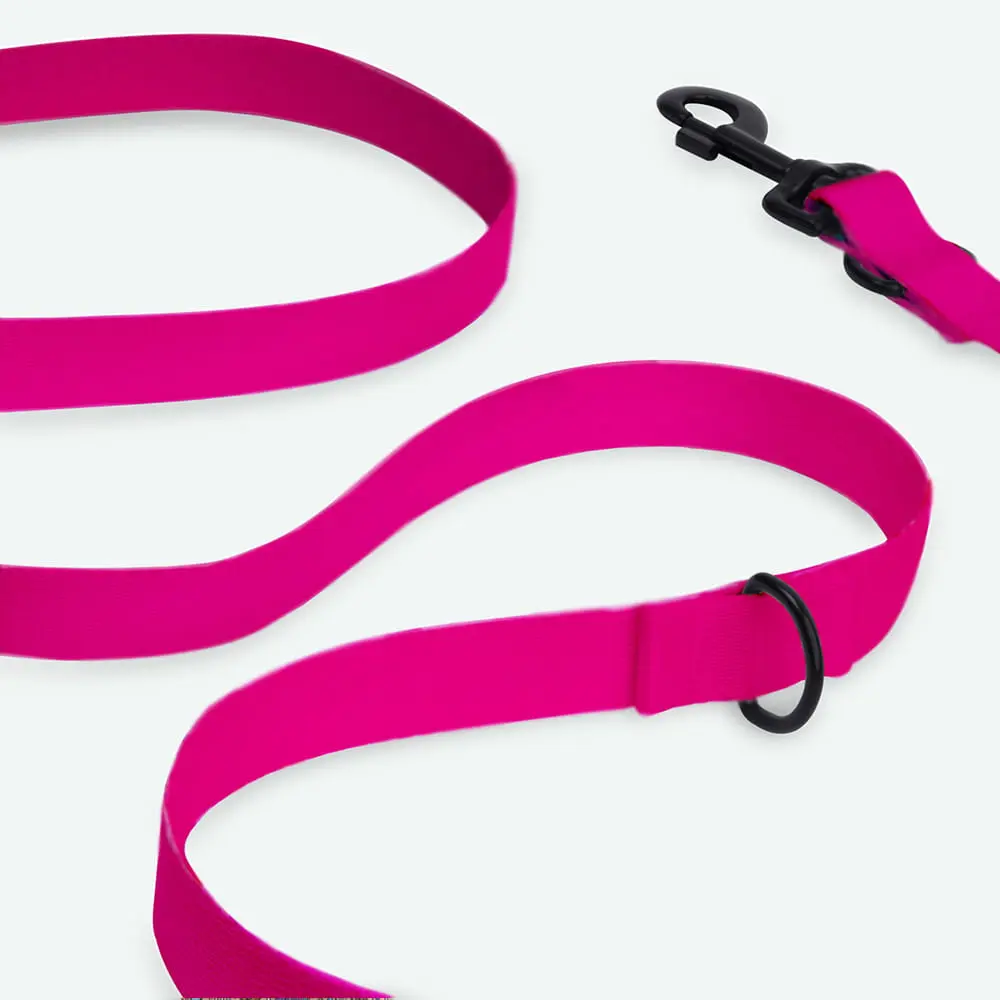 Smycz przepinana dla psa lub kota COLOR "Fuksja" data-lazy-src=