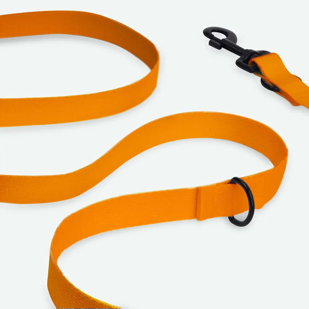 Smycz przepinana dla psa lub kota COLOR "Pomarańcz" data-lazy-src=