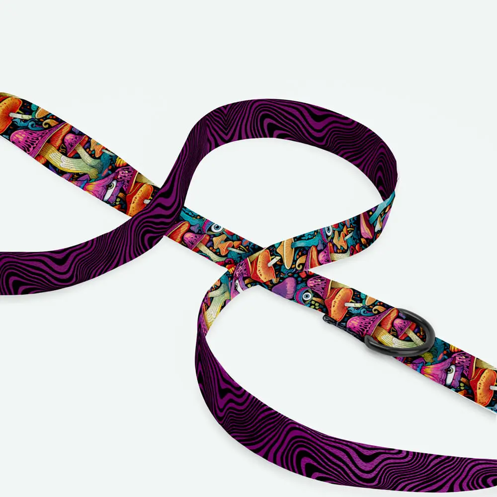 meditate" data-lazy-src=