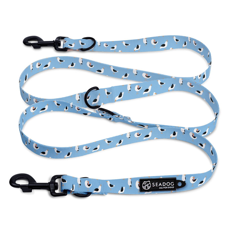 Smycz przepinana dla psa lub kota "Widziałem ptaka cień" Wysyłka 24h!