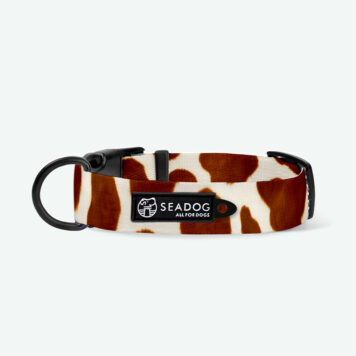 Obroża dla psa "Cow u doin?"