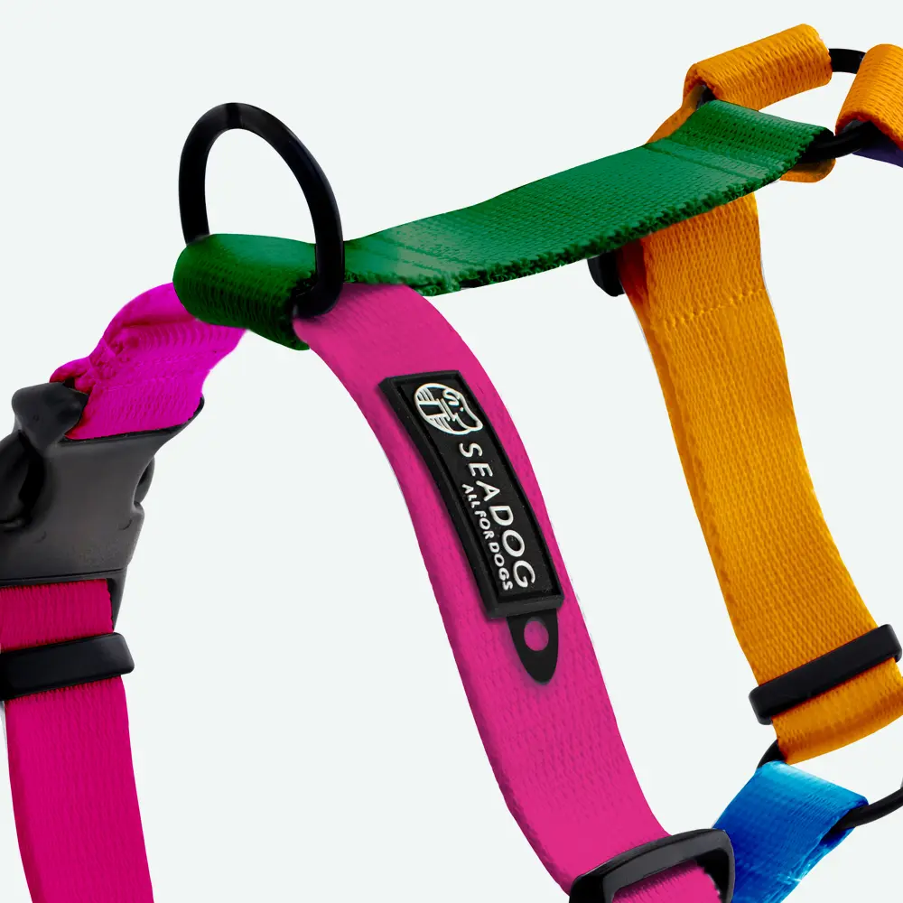 Szelki dla psa Guard COLOR “Bejba. Its Kajnda Krejza I” data-lazy-src=