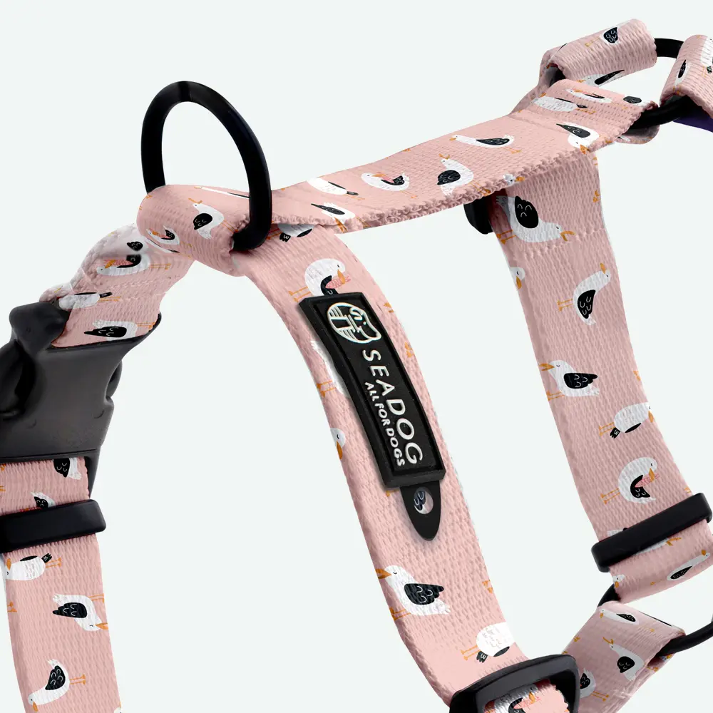 Szelki Guard dla psa “To nie ja byłam mewą” data-lazy-src=