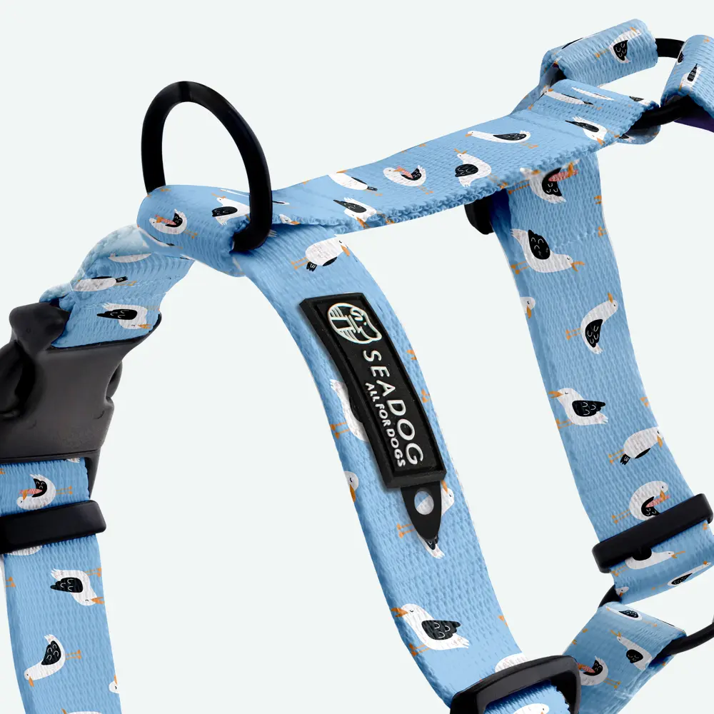 Szelki Guard dla psa “Widziałem ptaka cień” data-lazy-src=