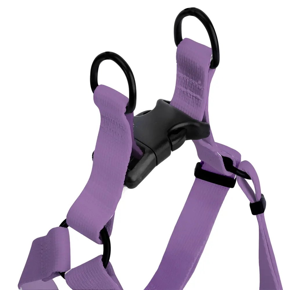 Szelki walk-in dla psa COLOR “Wrzos” data-lazy-src=