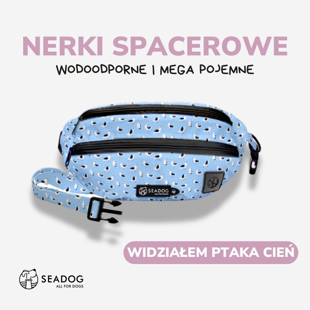 Instagram SEADOG - nerki spacerowe