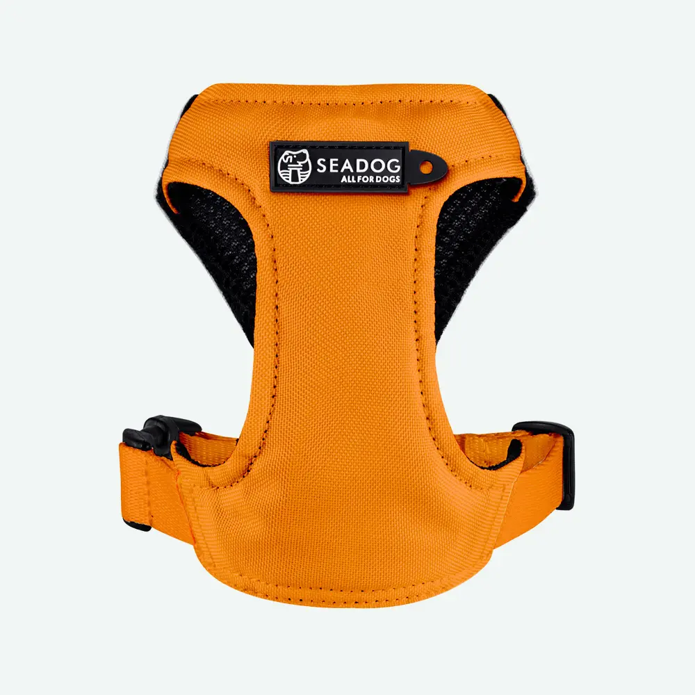 Szelki dla mikropsów COLOR “Pomarańcz” data-lazy-src=