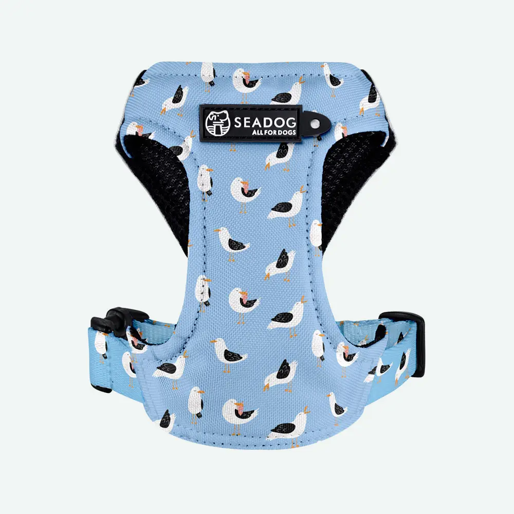 Szelki dla mikropsów “Widziałem ptaka cień” data-lazy-src=