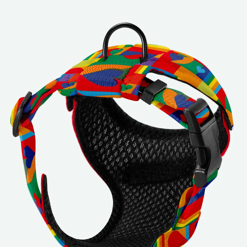 Szelki dla mikropsów “I Woof You” data-lazy-src=