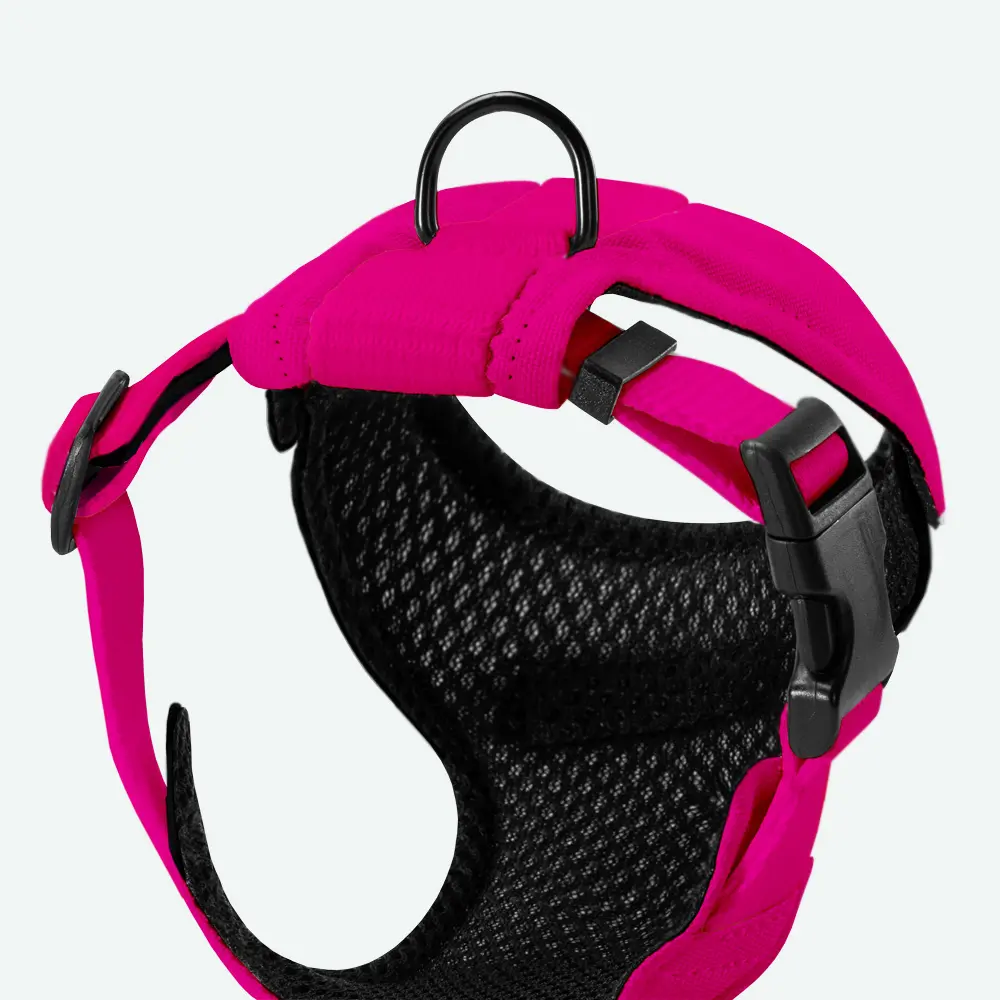 Szelki dla mikropsów COLOR “Fuksja” data-lazy-src=