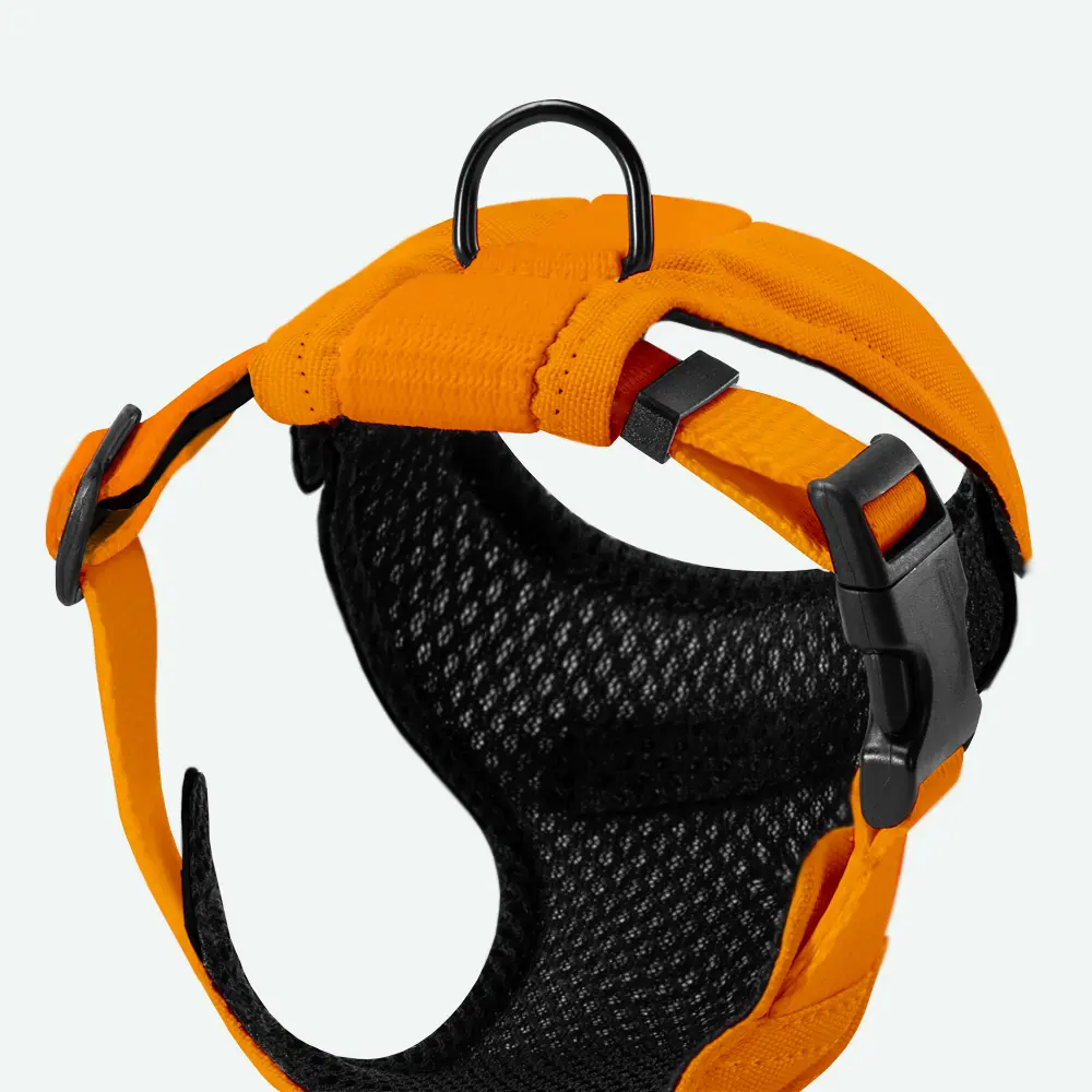 Szelki dla mikropsów COLOR “Pomarańcz” data-lazy-src=