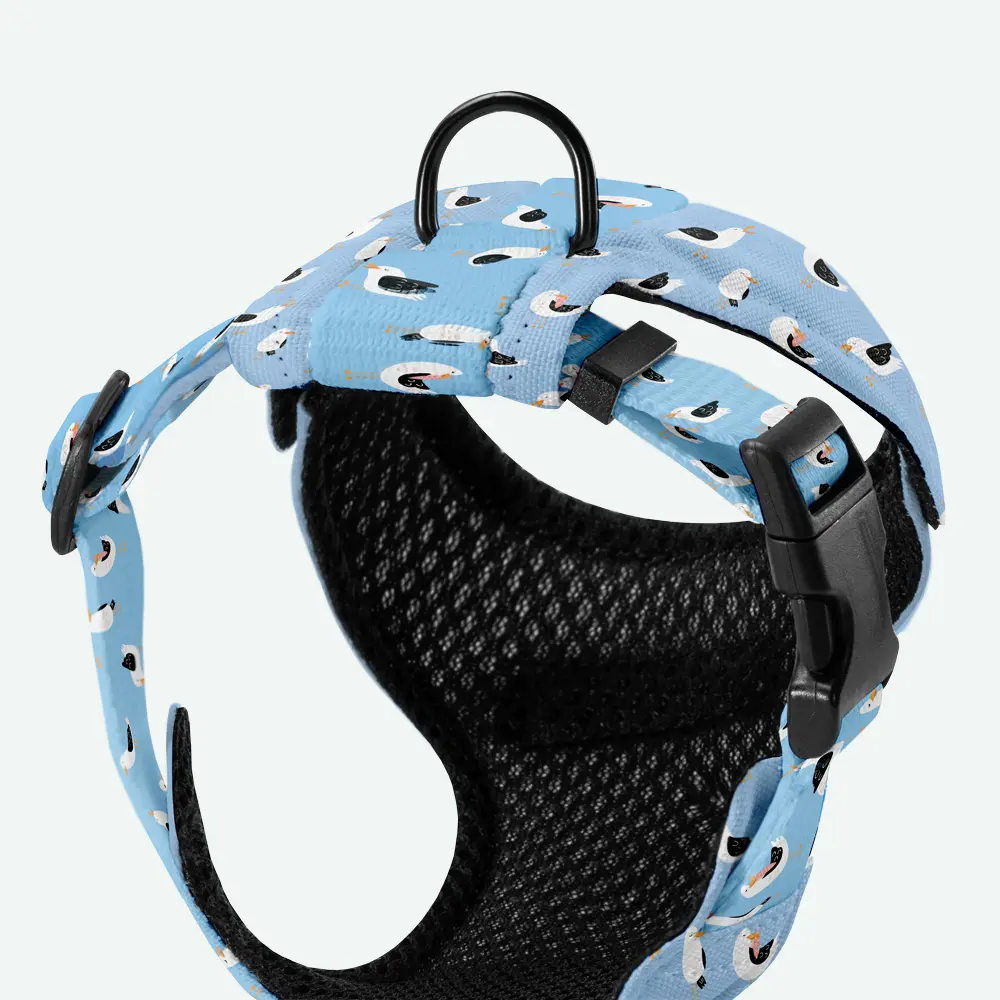 Szelki dla mikropsów “Widziałem ptaka cień” data-lazy-src=