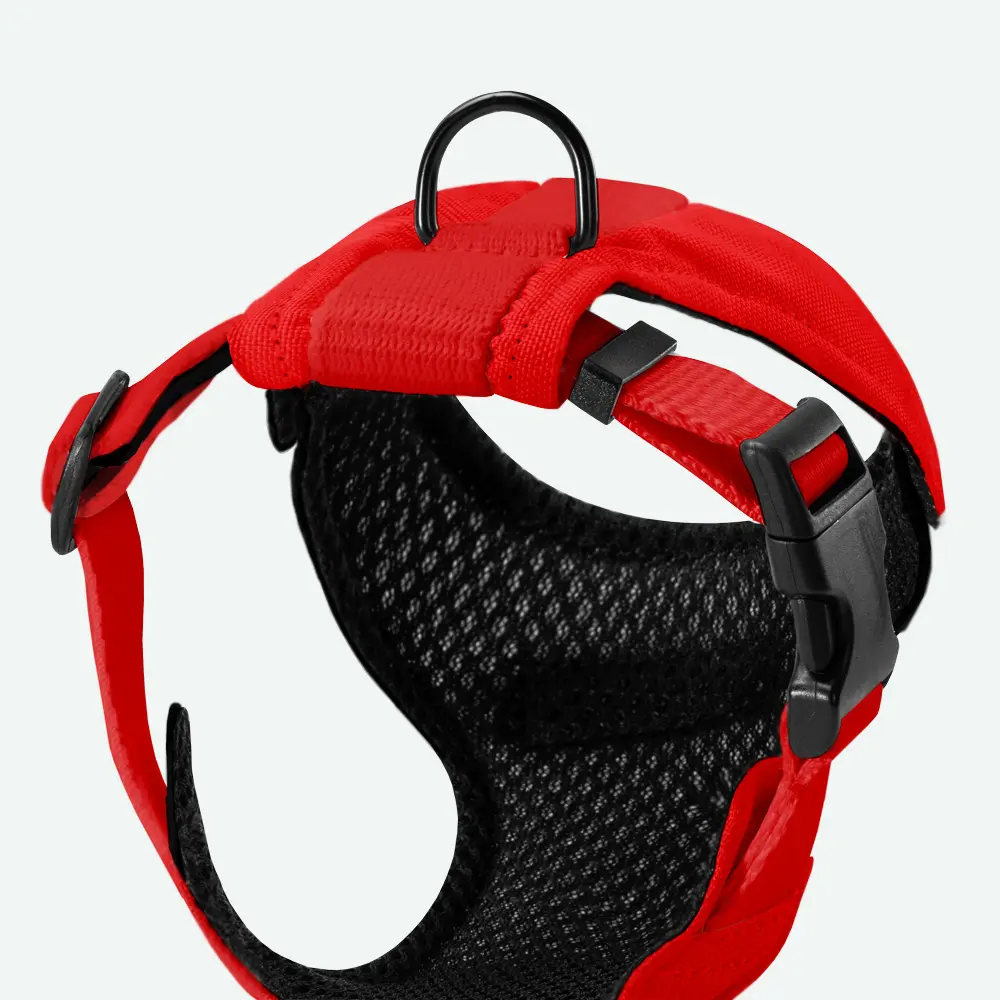 Szelki dla mikropsów COLOR “Czerwony” data-lazy-src=