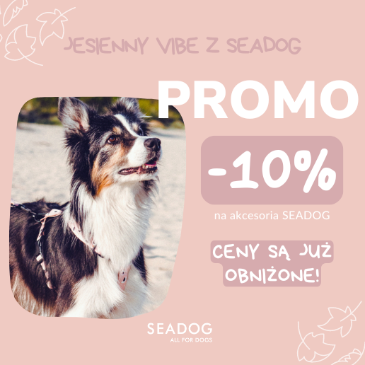 Banner Promo -10%