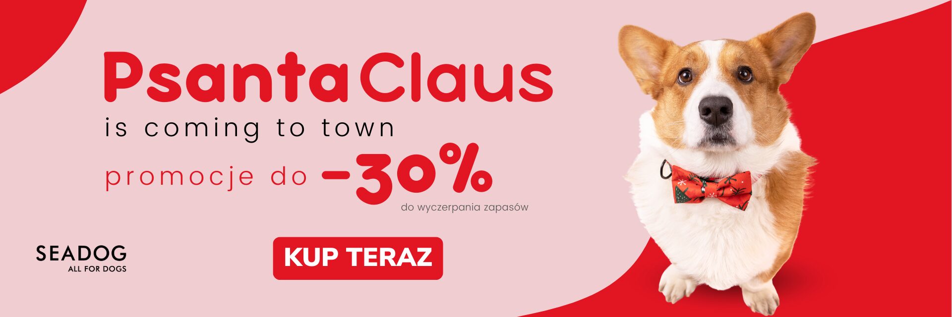 Promocja Psanta Claus