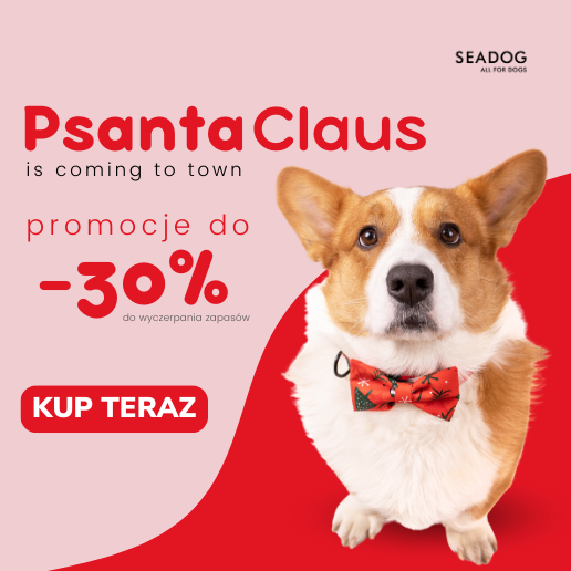 Promocja Psanta Claus