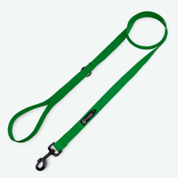 Smycz miejska dla psa  COLOR "Zielony" dł. 1,5 m / 20 mm