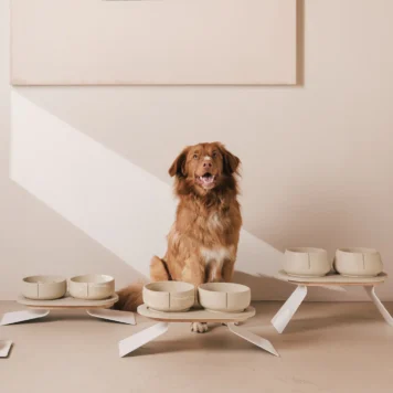 Pino Pets - Regulowana stojak na miski dla psa
