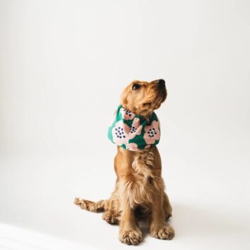 Snod dla psa - zielony w kwiatki