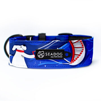 Obroża dla Charta SOFT 40mm "Kite Psurfer"  M