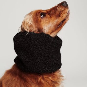 Snod dla psa - zimowy - czarny