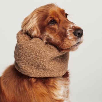 Snod dla psa - zimowy - beżowo brązowy