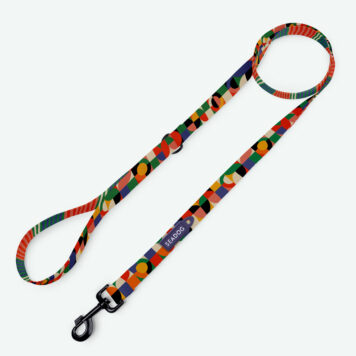 Smycz miejska dla psa "Bauhau" dł. 2 m