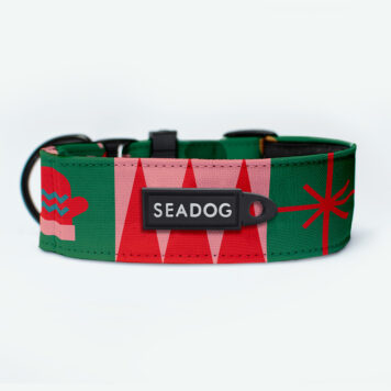 Obroża dla Charta SOFT 40mm "It's TIIIME!"