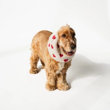 Snod dla psa - zimowy - beżowy w serca