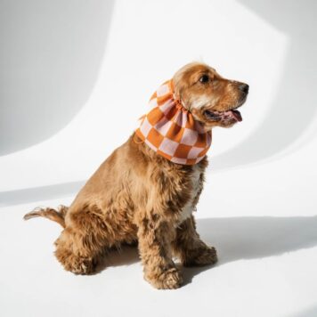 Snod dla psa - zimowy - kratka pomarańczowa