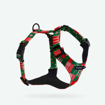 Szelki bezuciskowe dla psa  "IT's TIIIIME!" - LIMITED