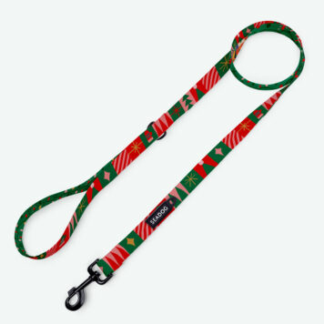 Smycz miejska dla psa  "It's TIIIME!" dł. 2 m