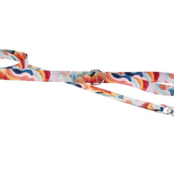 Ferribiella - smycz dla mikropsów - Chmury