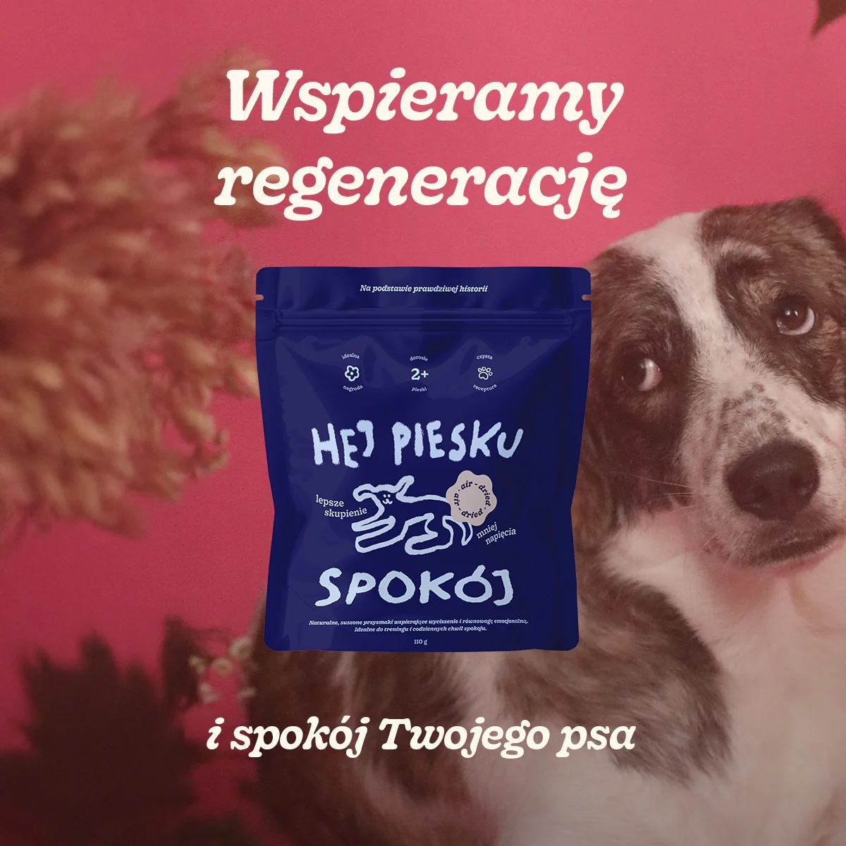Co na uspokojenie dla psa